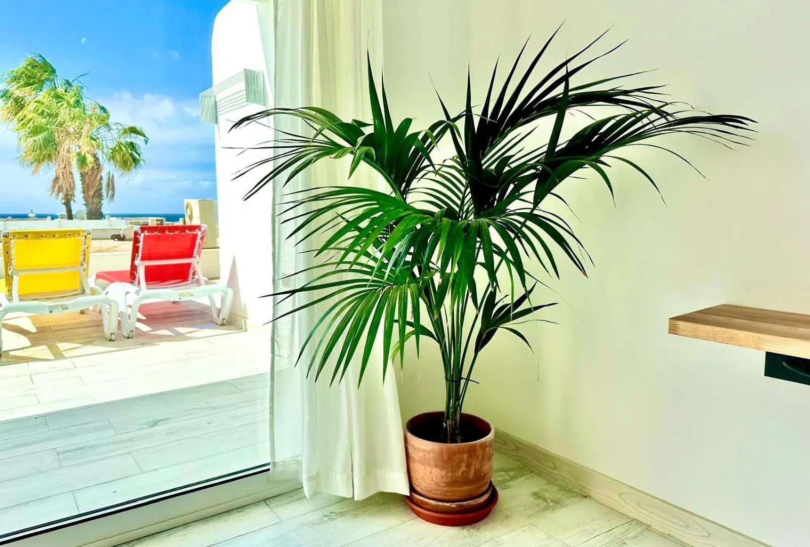 Luxury Paradiese Apartment - Sea Views Puerto del Carmen   Puerto del Carmen (Lanzarote)